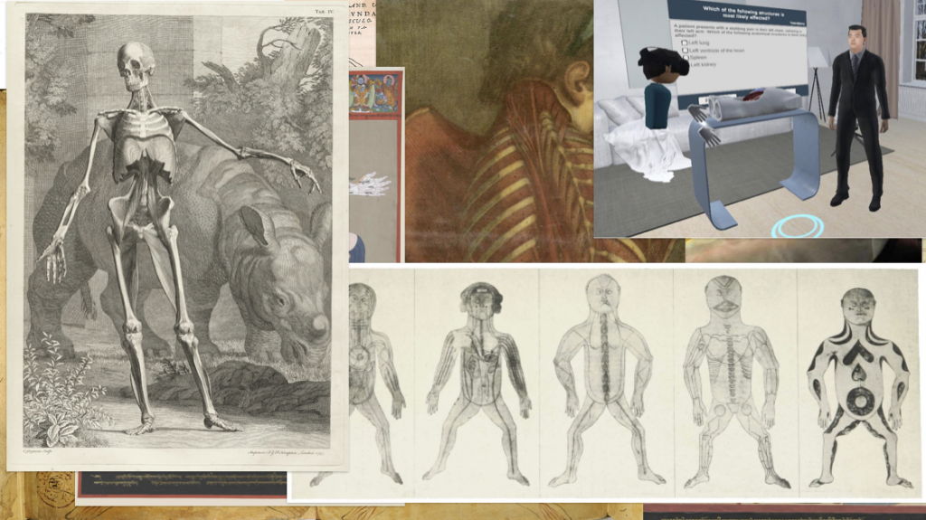 Montage of medical and anatomical illustrations and visualizations